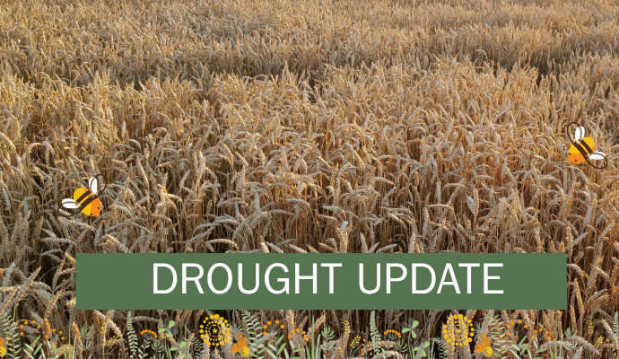 Just Farm Drought Increases SFI Funding Drought Increases SFI Funding