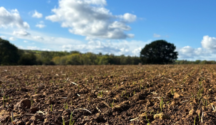Just Farm SFI 2026 Image